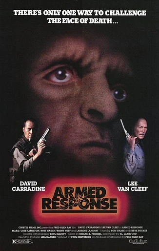 Poster de El Poder de las Armas