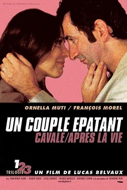 poster of movie Una Pareja Perfecta (Trilogía 1)