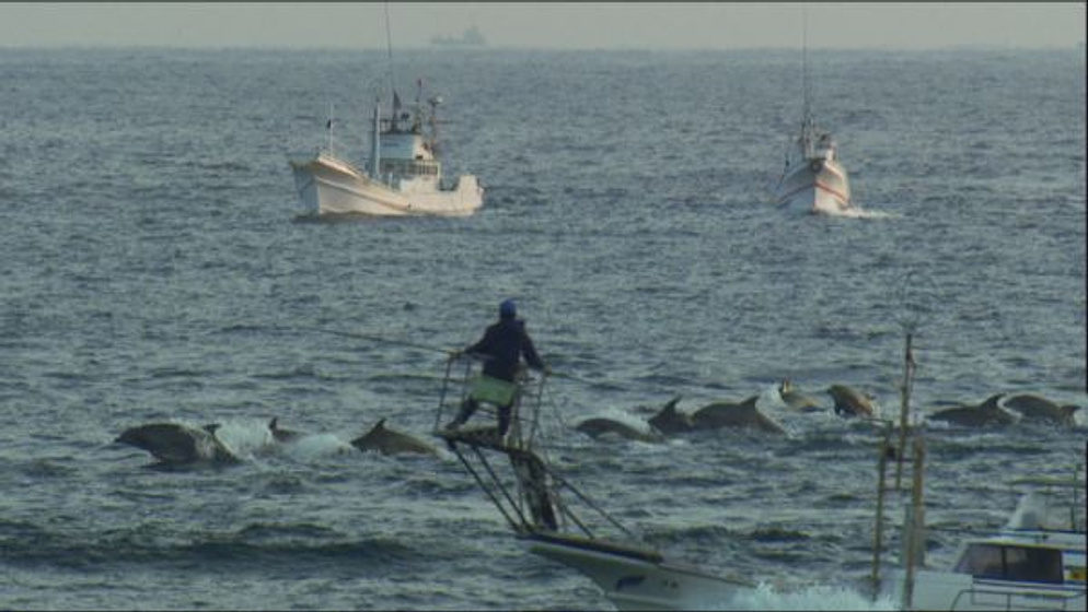 Imagen de The Cove