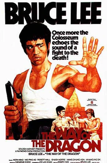 Imagen de el-furor-del-dragon (Poster)