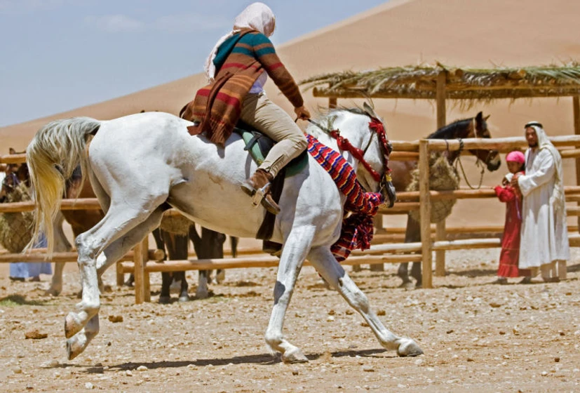 Imagen de Susurros en el Desierto