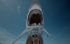 still of movie Sharktopus