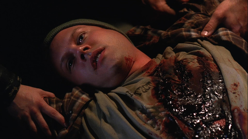 Imagen de Alaridos (2006 II)