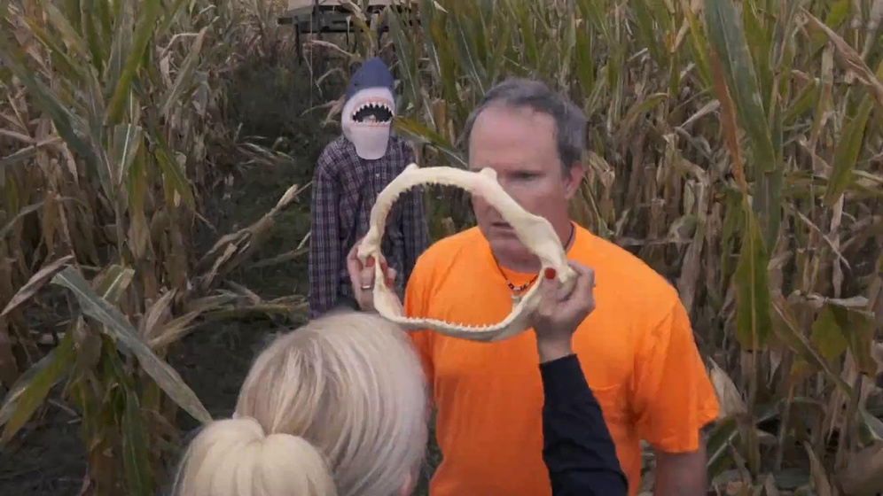 Imagen de Sharks of the Corn