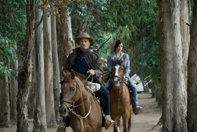 Imagen de La Herencia de los Hansen