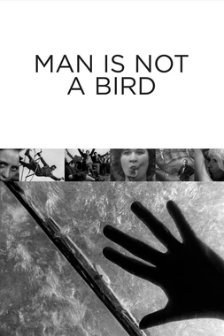 El Hombre no es un Pájaro