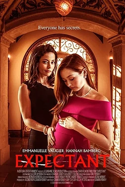 poster of movie Embarazada y Sola