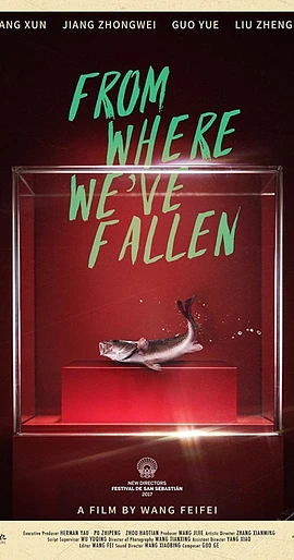 Poster de From where we've fallen