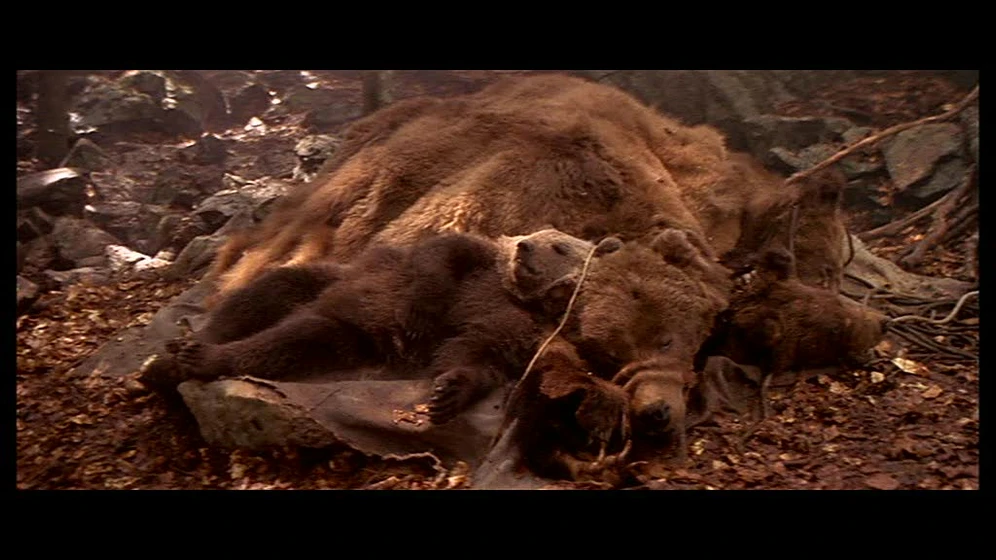 Imagen de El Oso