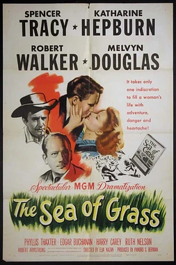 Mar de hierba poster
