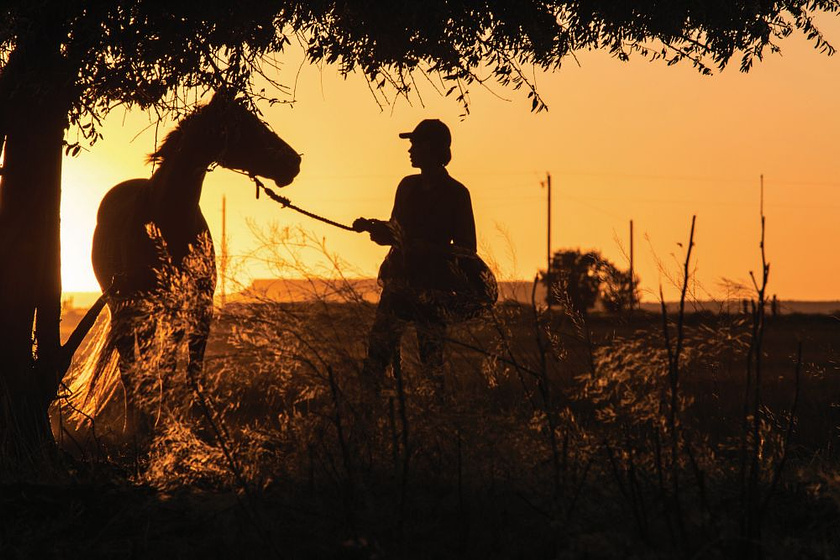 Charlie Plummer en Lean on Pete