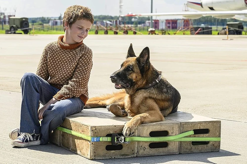Imagen de a-dog-named-palma
