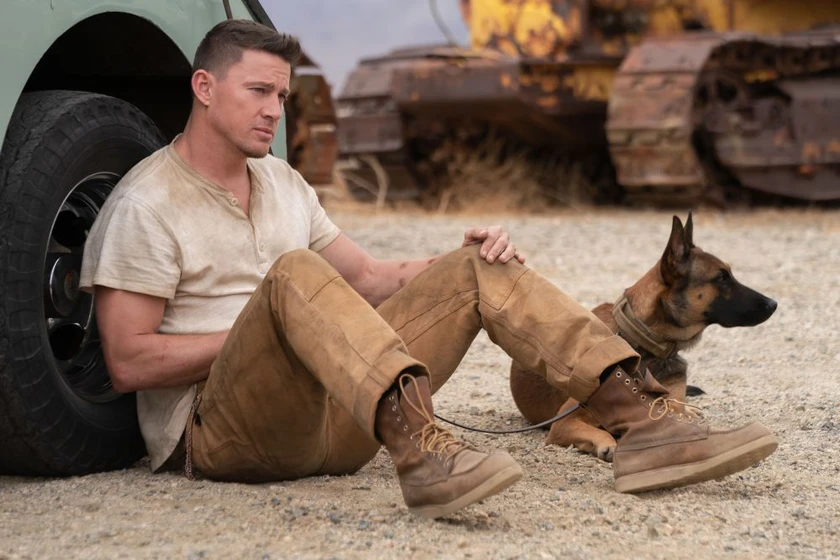 Channing Tatum en dog-un-viaje-salvaje