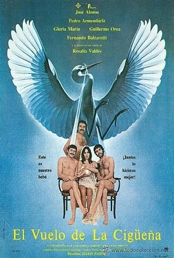 El Vuelo de la cigüeña