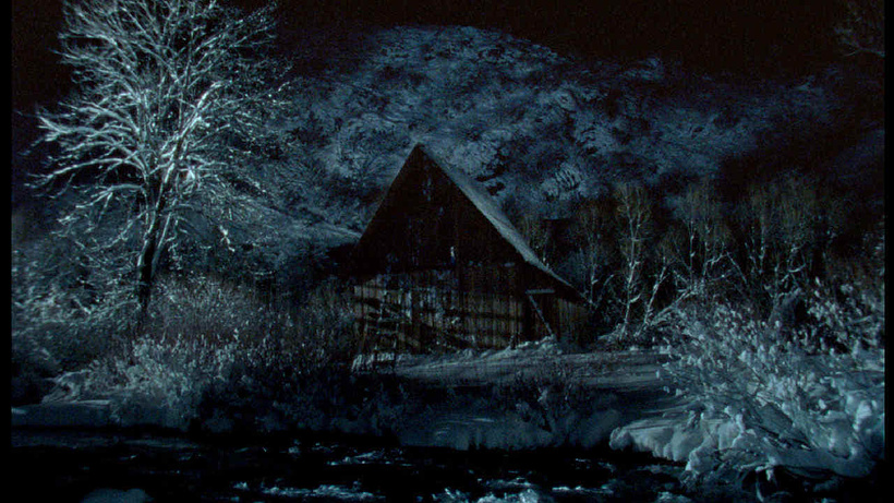Imagen de The Tree