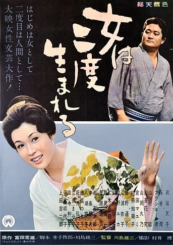 Poster de A Geisha's Diary