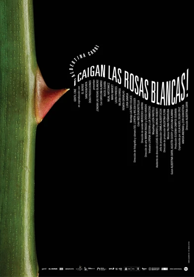 Imagen de caigan-las-rosas-blancas (Cartel)