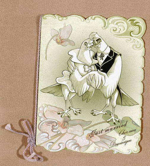 Imagen de Cher Ami