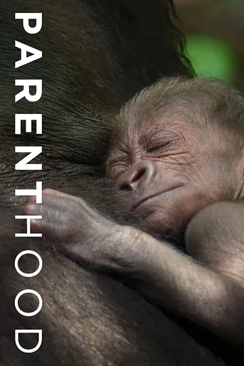 Poster de Parenthood