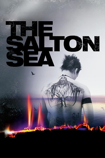 poster of content The Salton Sea