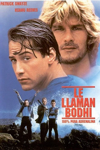 Poster de Le llaman Bodhi