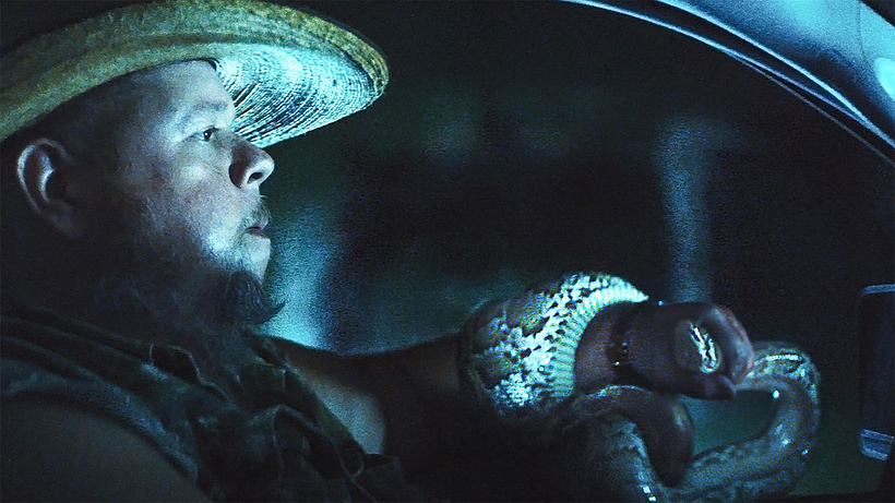 Imagen de The Python Hunt