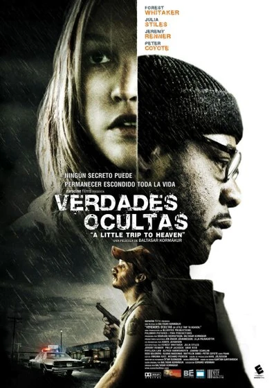 Imagen de verdades-ocultas (Cartel)