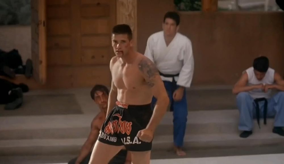 Imagen de kickboxer-4-el-agresor