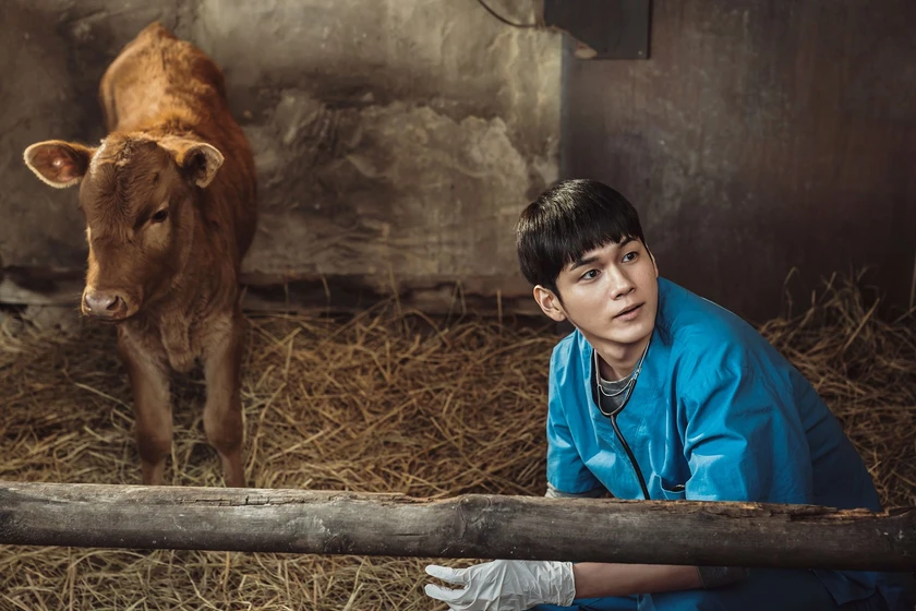 Ong Seong-wu en cattle-run