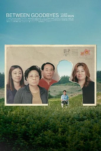 Poster de Between Goodbyes