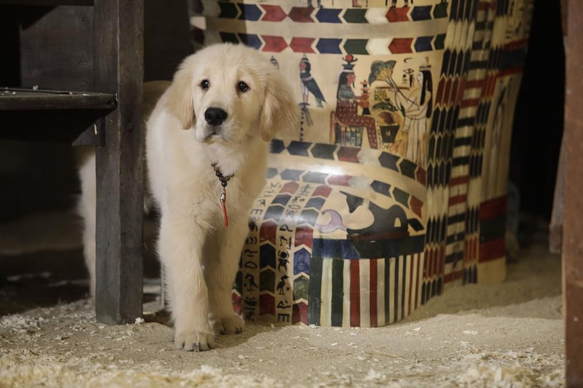 Imagen de buddies-cazadores-de-tesoros