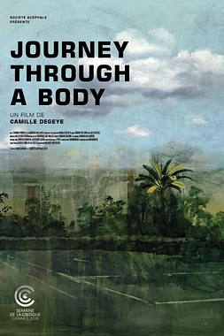Journey through a body