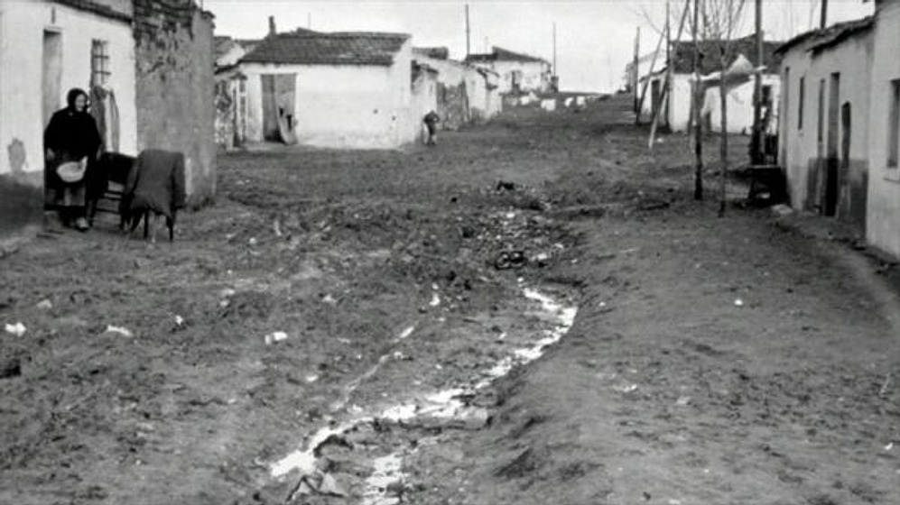 Imagen de Flores de Luna