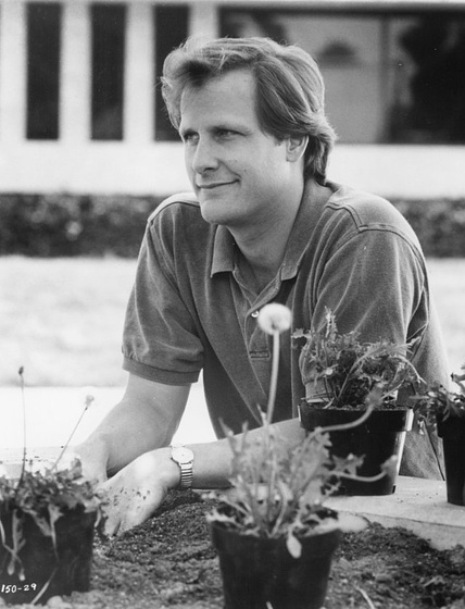 Jeff Daniels en Aquí te pillo, aquí te mato