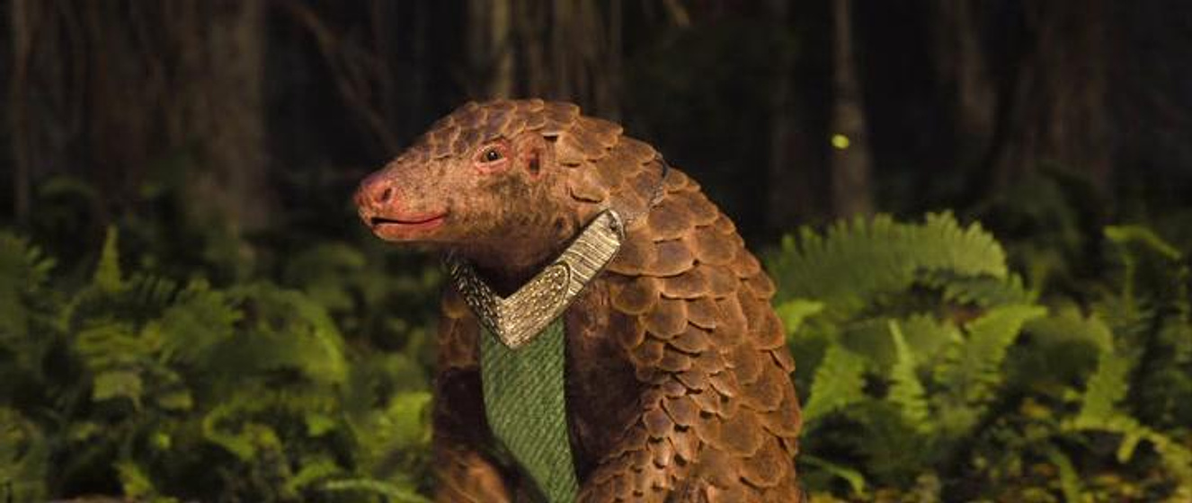 Imagen de el-reino-secreto