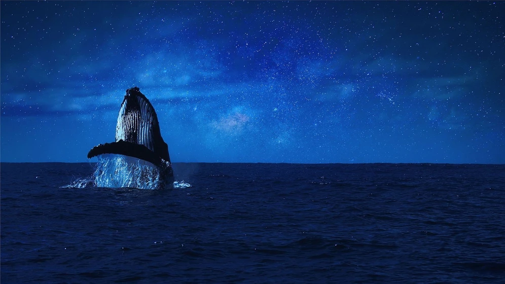 Imagen de whales-and-i