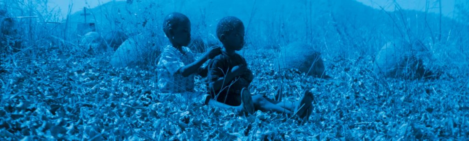 Imagen de blue-bird