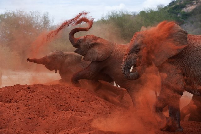 Imagen de Born to Be Wild